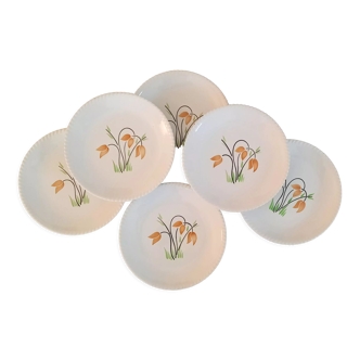 Badonviller Lunéville k&g flat faience plates vintage tulip decor