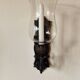 Wrought iron wall light - wall candle holder and glass tulip