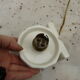 Porcelain or ceramic and art deco opaline wall light