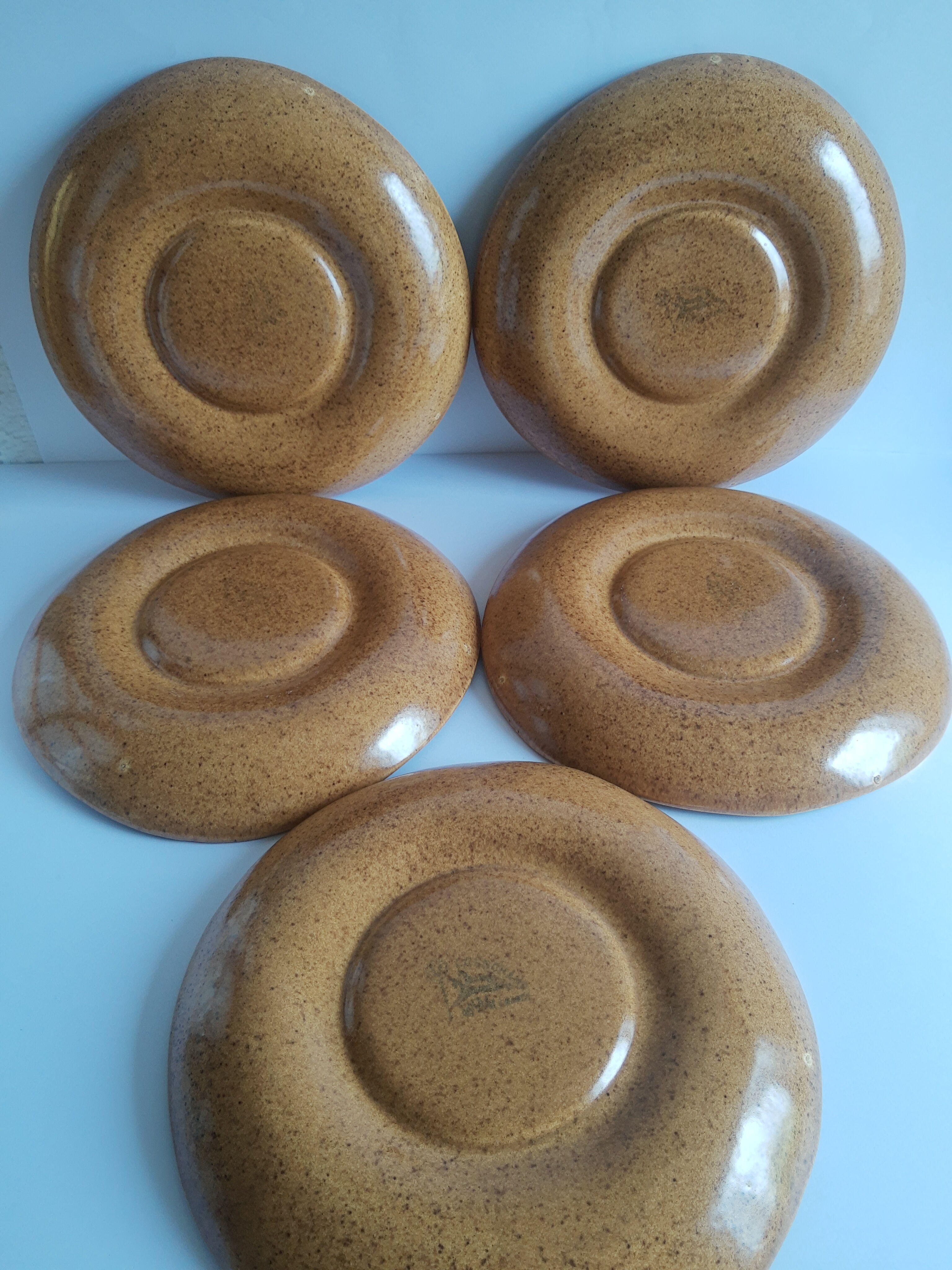 Set of 5 plates with compartments in vintage Longchamp sandstone
