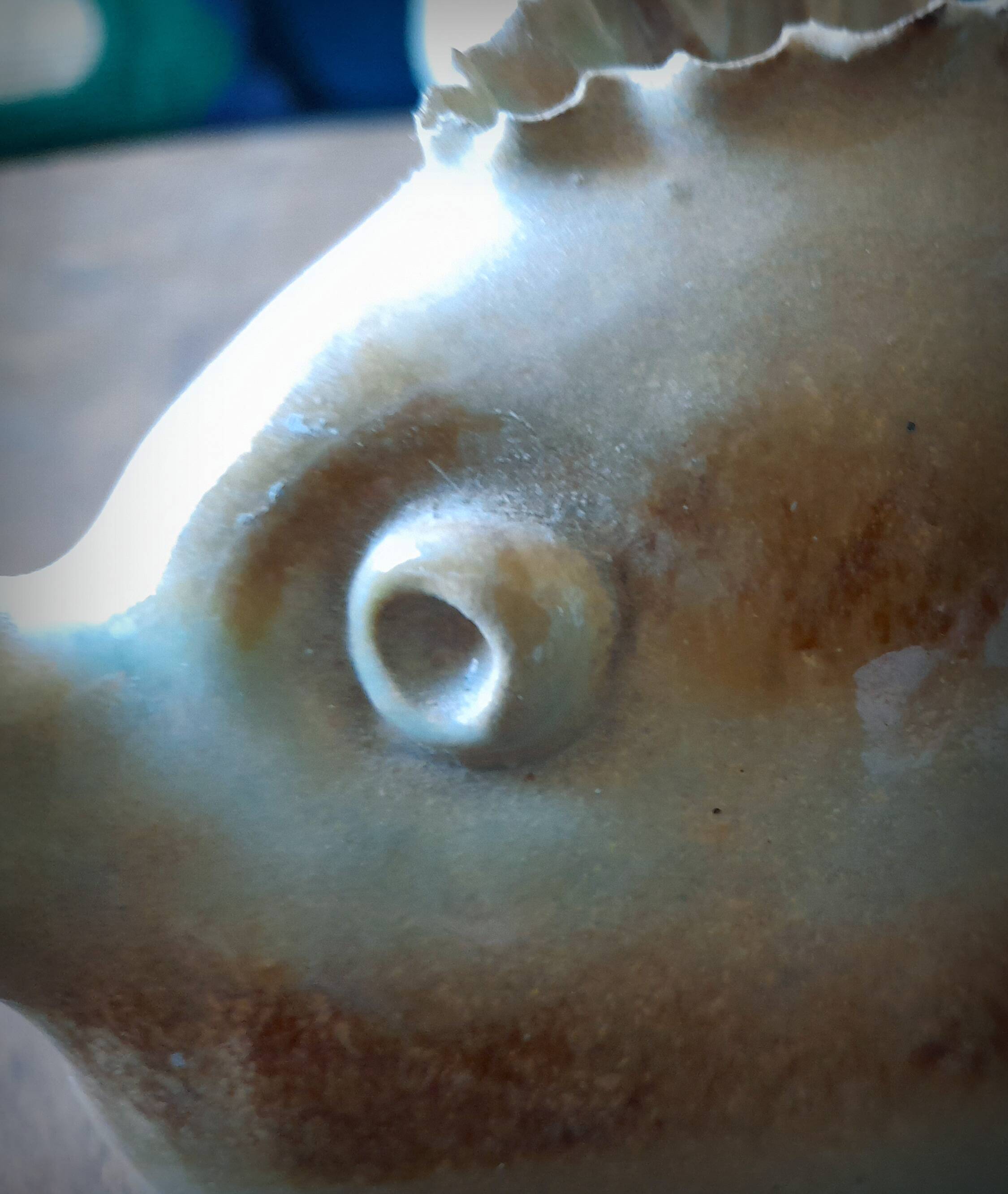 Fish vase, Alexandre Kostanda, Vallauris, 1960s