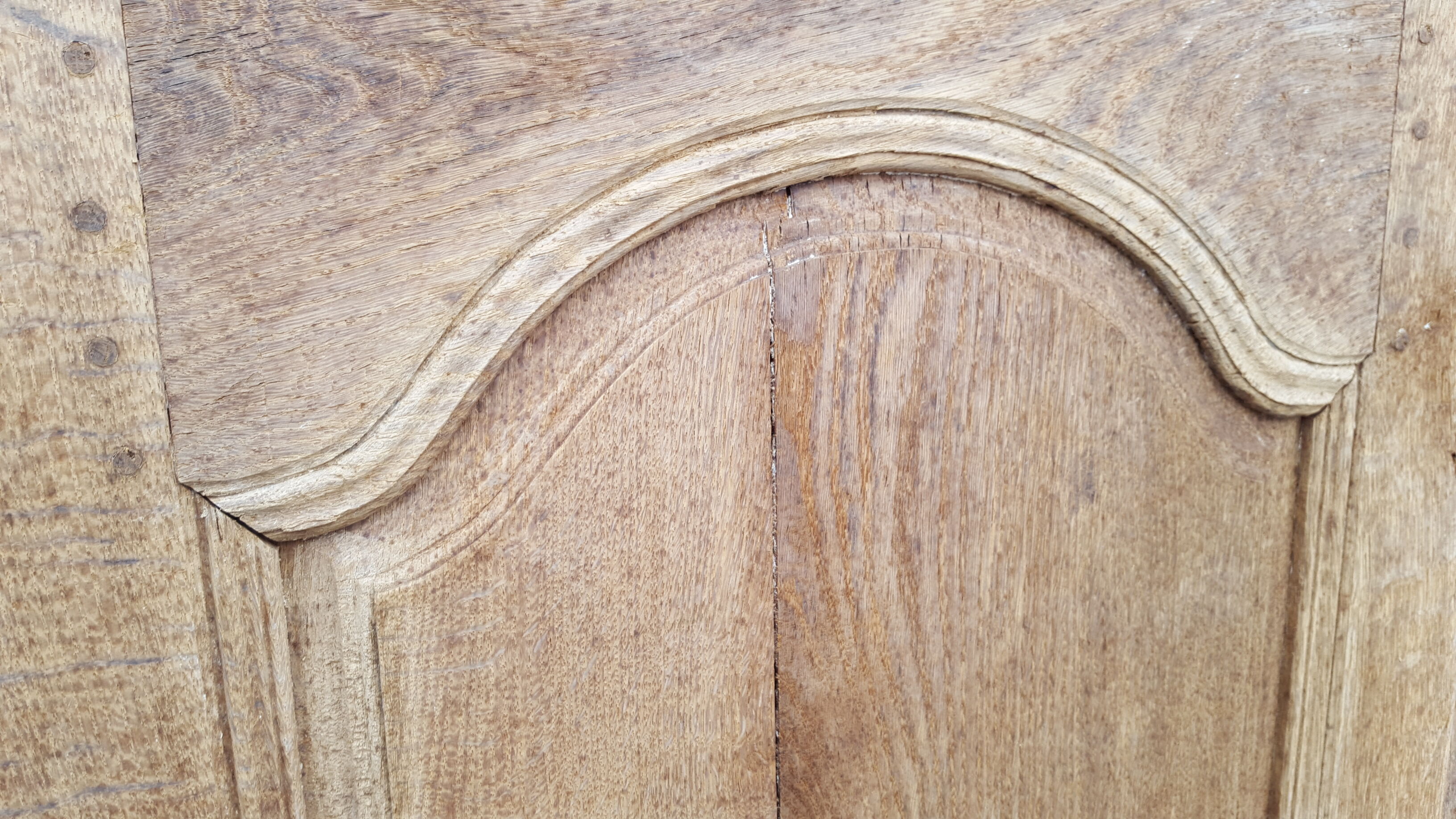 XIX old door with its frame