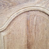 XIX old door with its frame