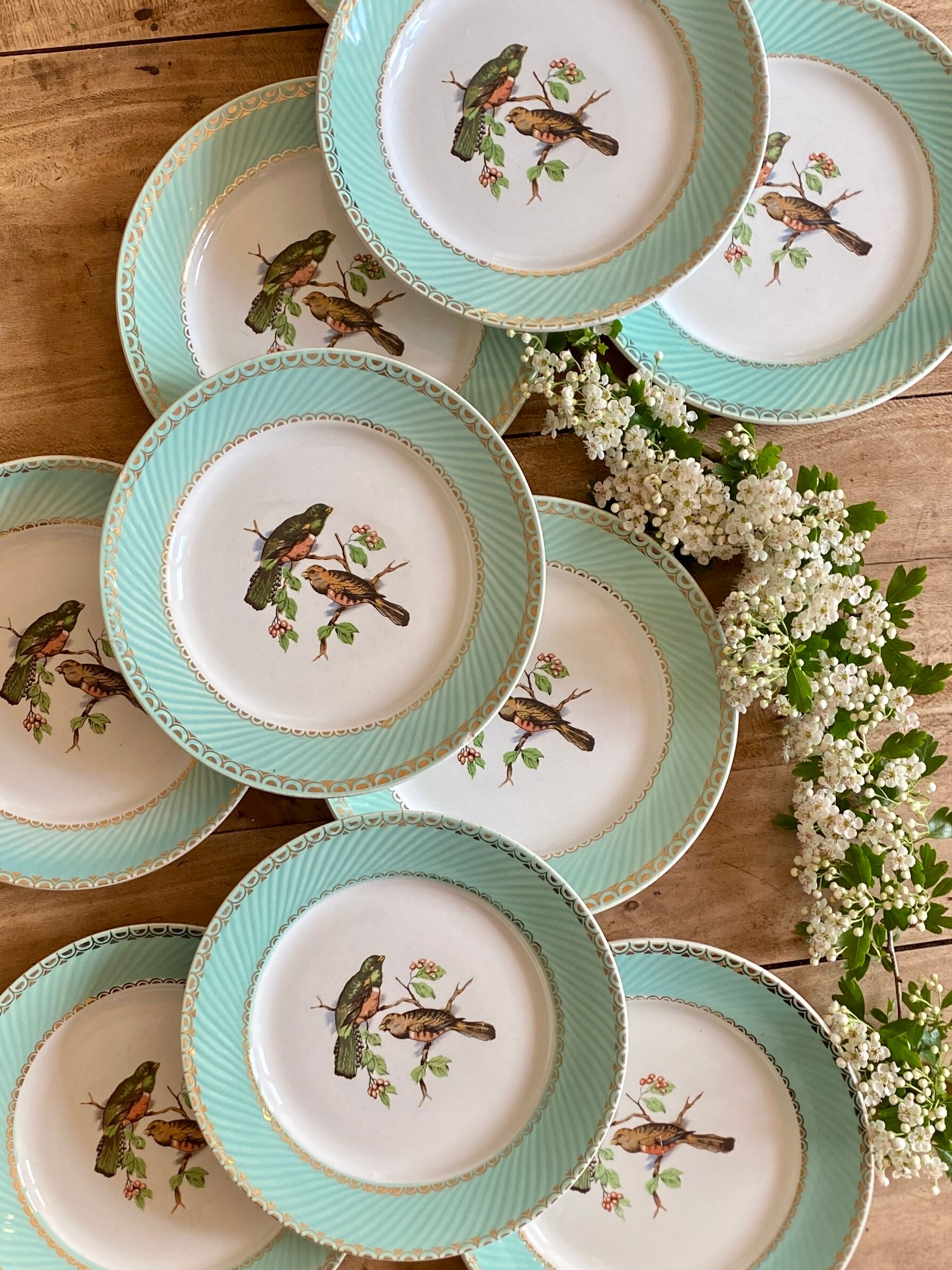 Set of 10 vintage flat plates with bird drawings