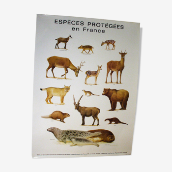 Affiche espèces protégées en France