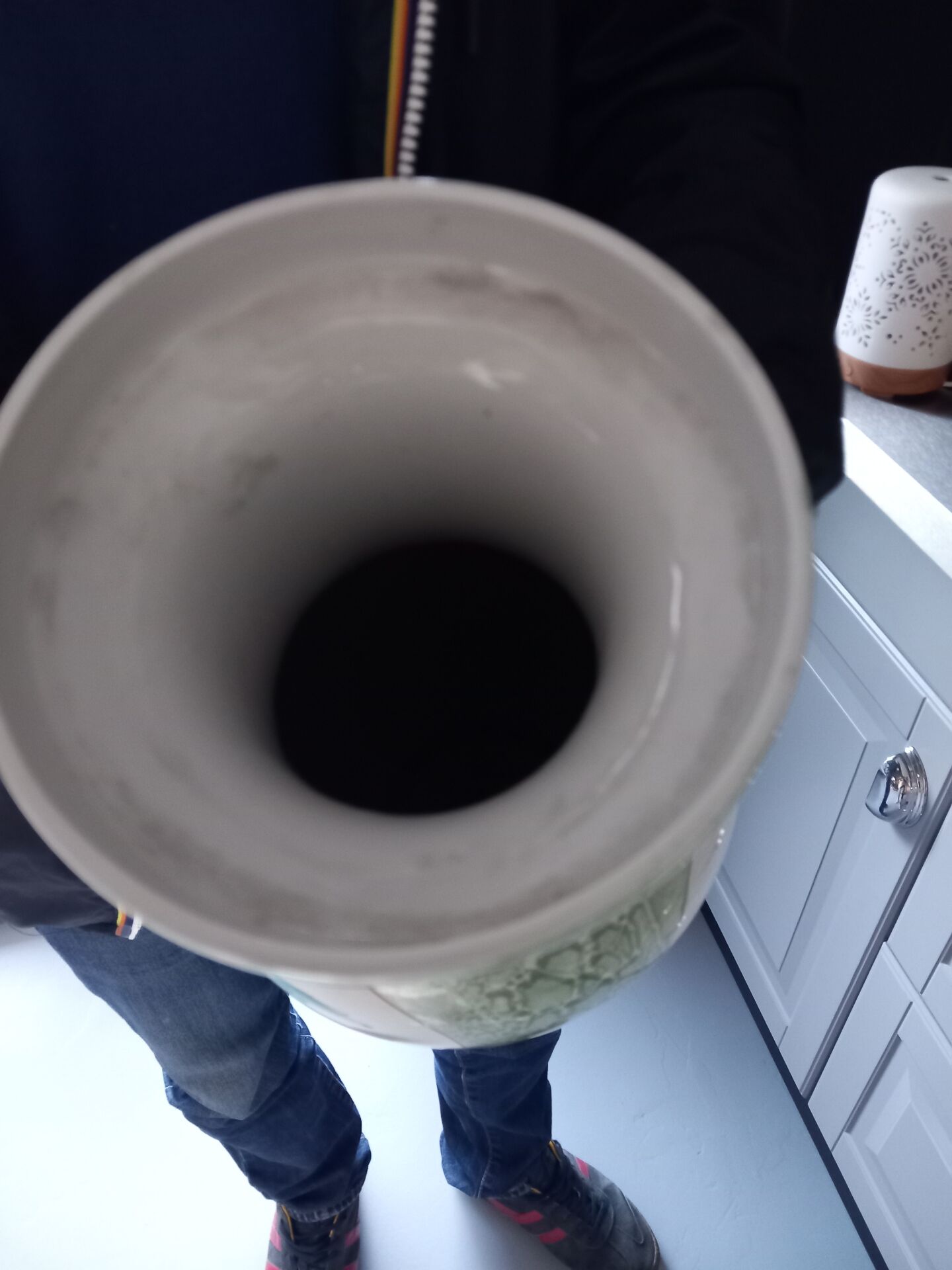Vase chinois en porcelaine, décor floral et oiseaux, céladon