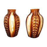 Pair of vases of G.De Bruyn 20' 30'