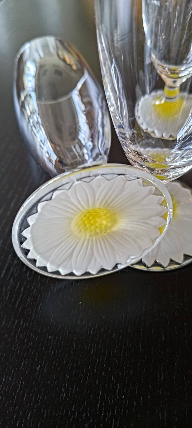 Daisy glass glasses