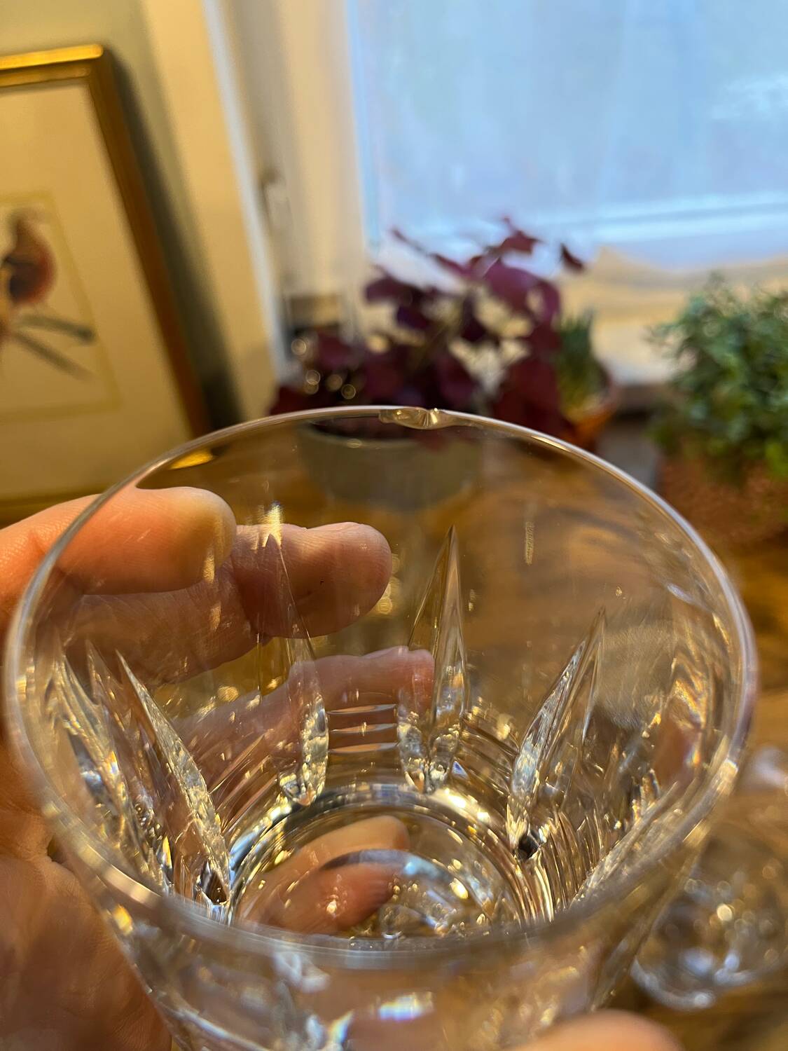 Villeroy Boch Concorde glassware set