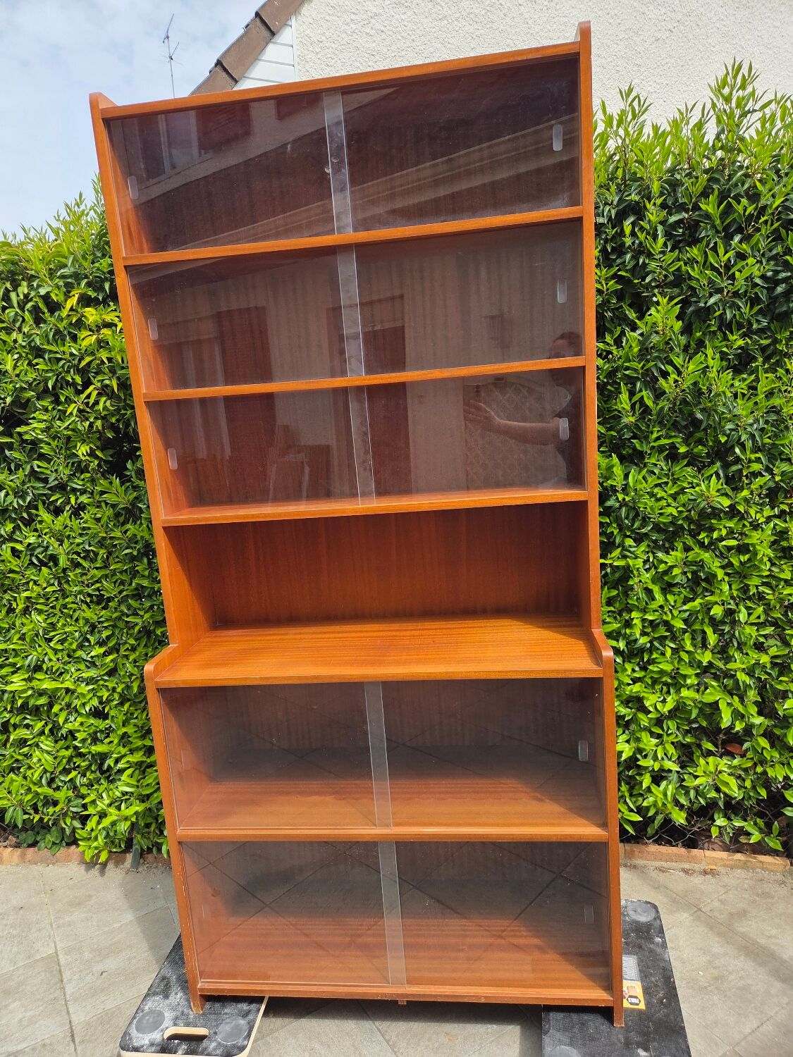 Display cabinet/bookcase