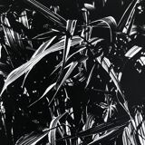 Rosine NUSIMOVICI, Untitled (Poacea I), 1980. Black and white silver print