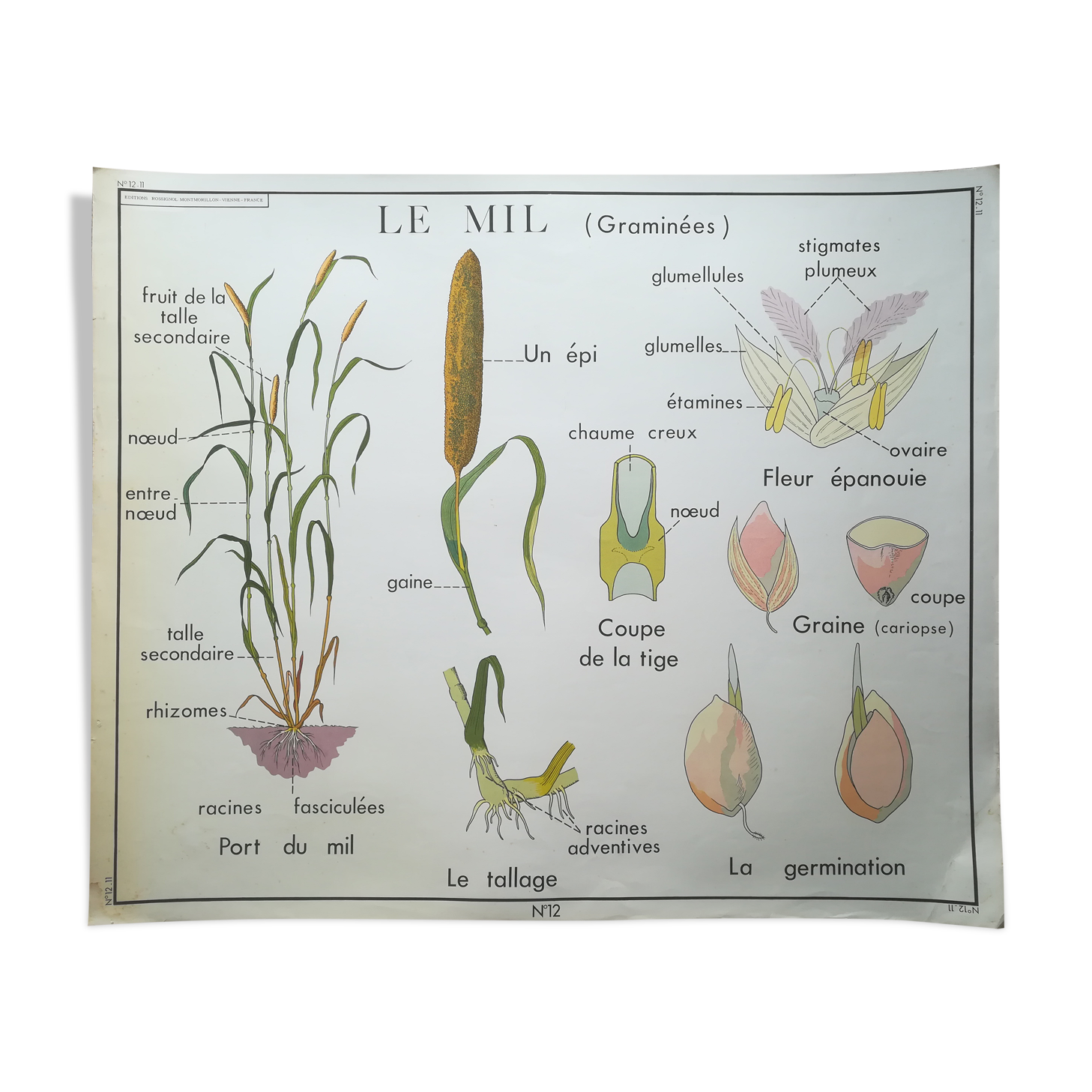 Affiche pédagogique Rossignol "Le maïs et le mil" vintage.