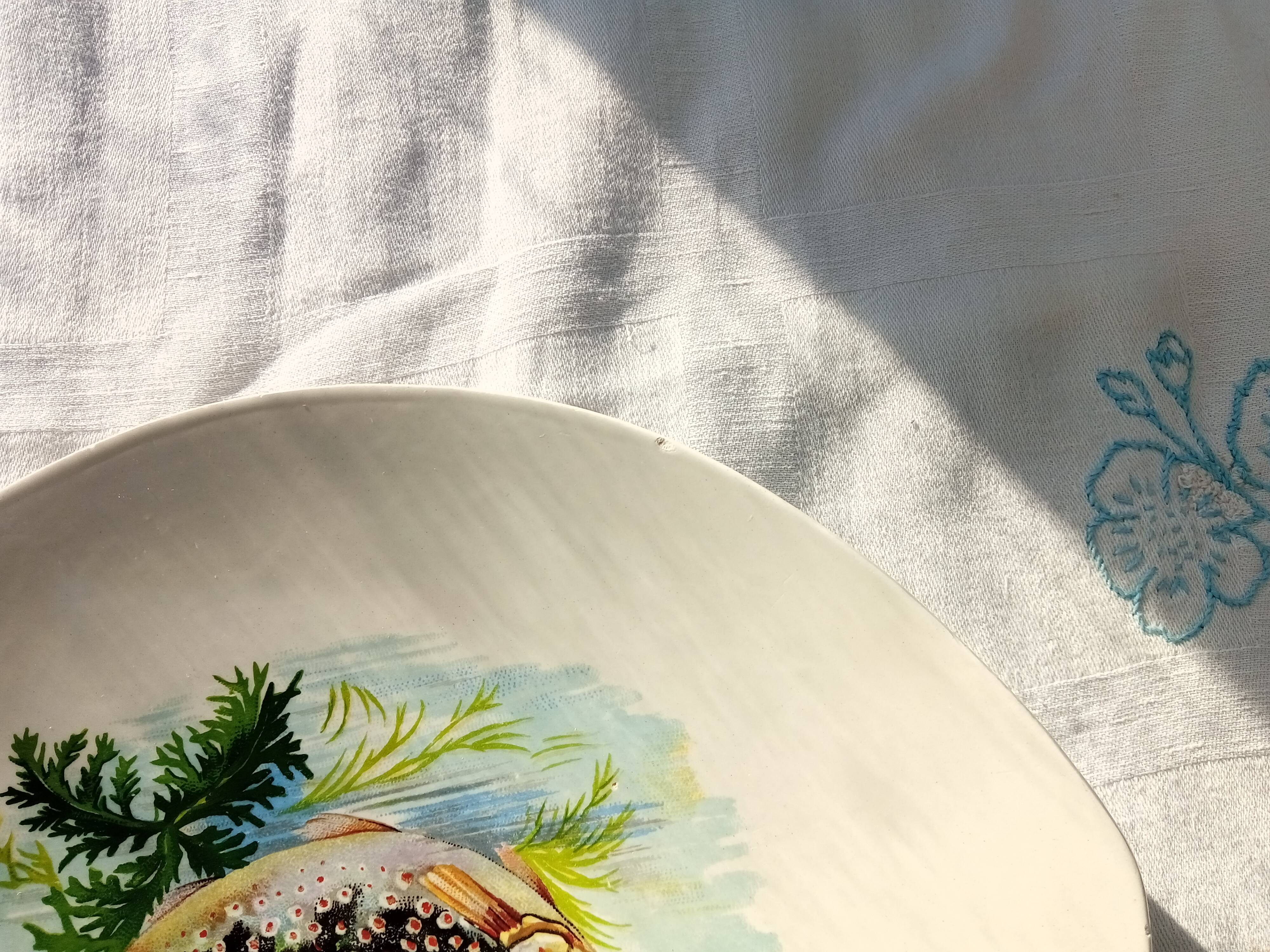 6 flat oval plates Salins