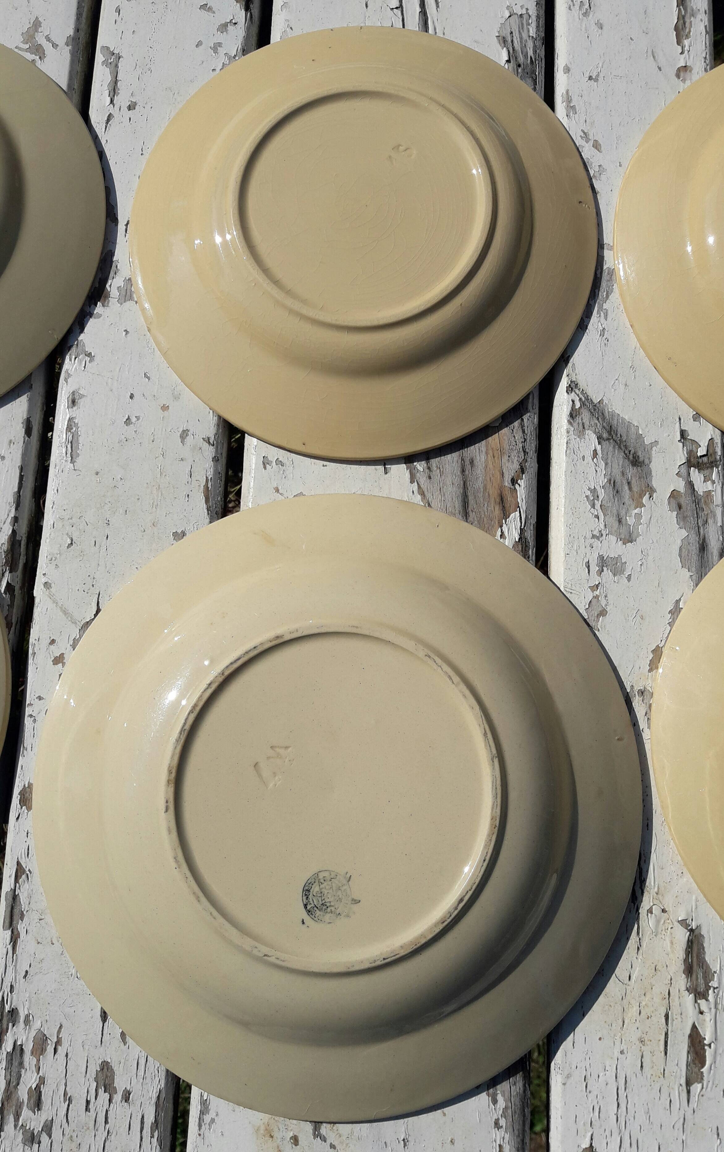 Set of 5 plates and 1 deep dish in Boch earthenware