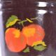 Vintage enameled bucket
