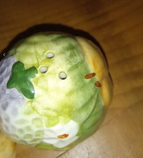 Salt and pepper shakers in earthenware – frugal pattern, 1950s