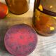 Jar "Lamium Album" brown glass