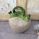 Ancient green glazed terracotta gargoulette.