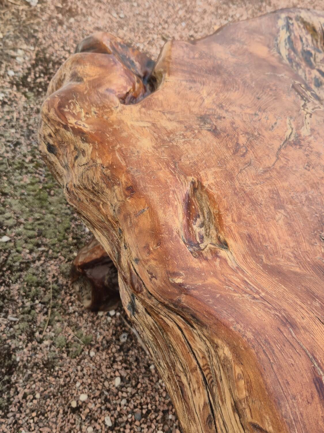 Brutalist coffee table made from solid elm tree trunk, 1950s