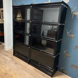Black Globe Wernicke Bookcase