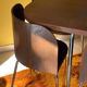 Fusion table and four chair set, vintage Ikea, 1990