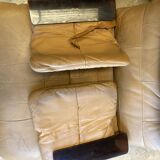 Pair of armchairs Marsala by Michel Ducaroy for Ligne Roset