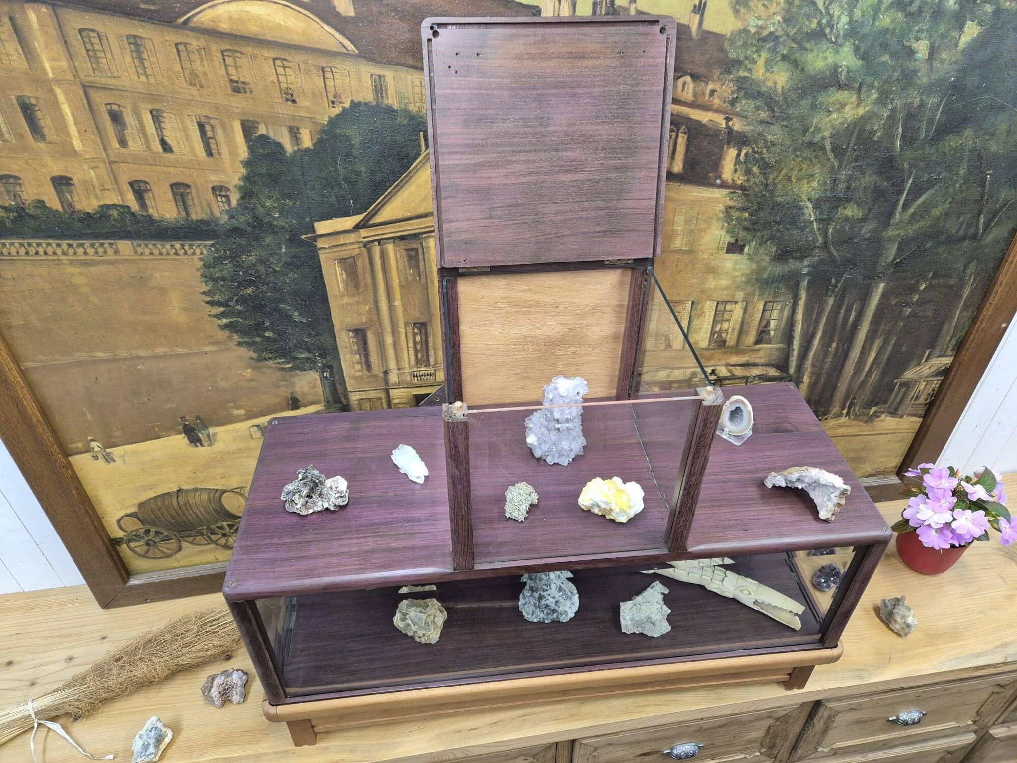 Antique amaranth display cabinet from the 1930s.