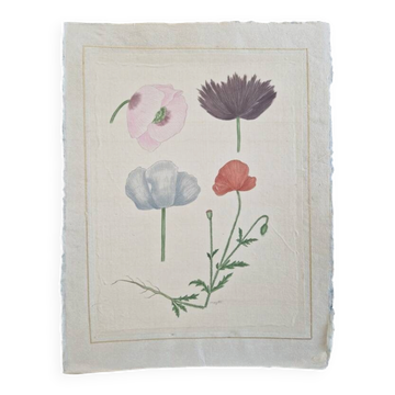 Dessin à l'aquarelle sur soie - Pavots - La Roche Laffitte (Né en 1943)