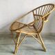 Adult rattan shell armchair