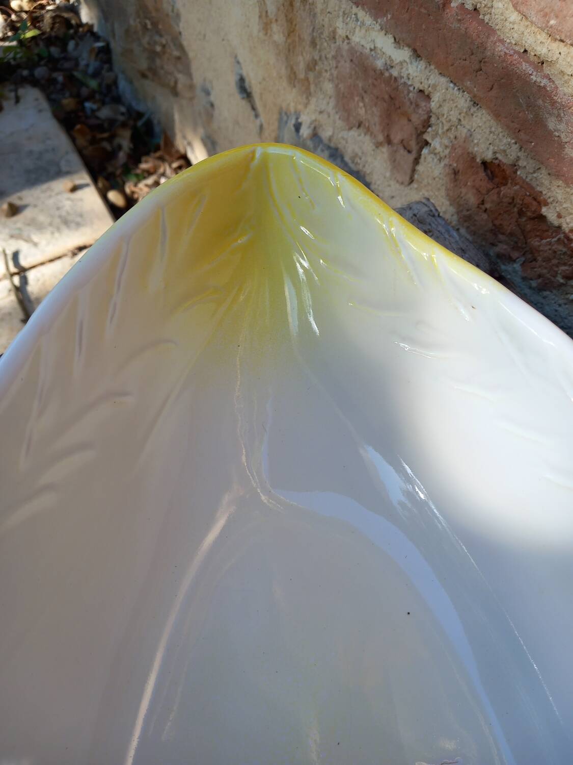 Earthenware dish with endive patterns