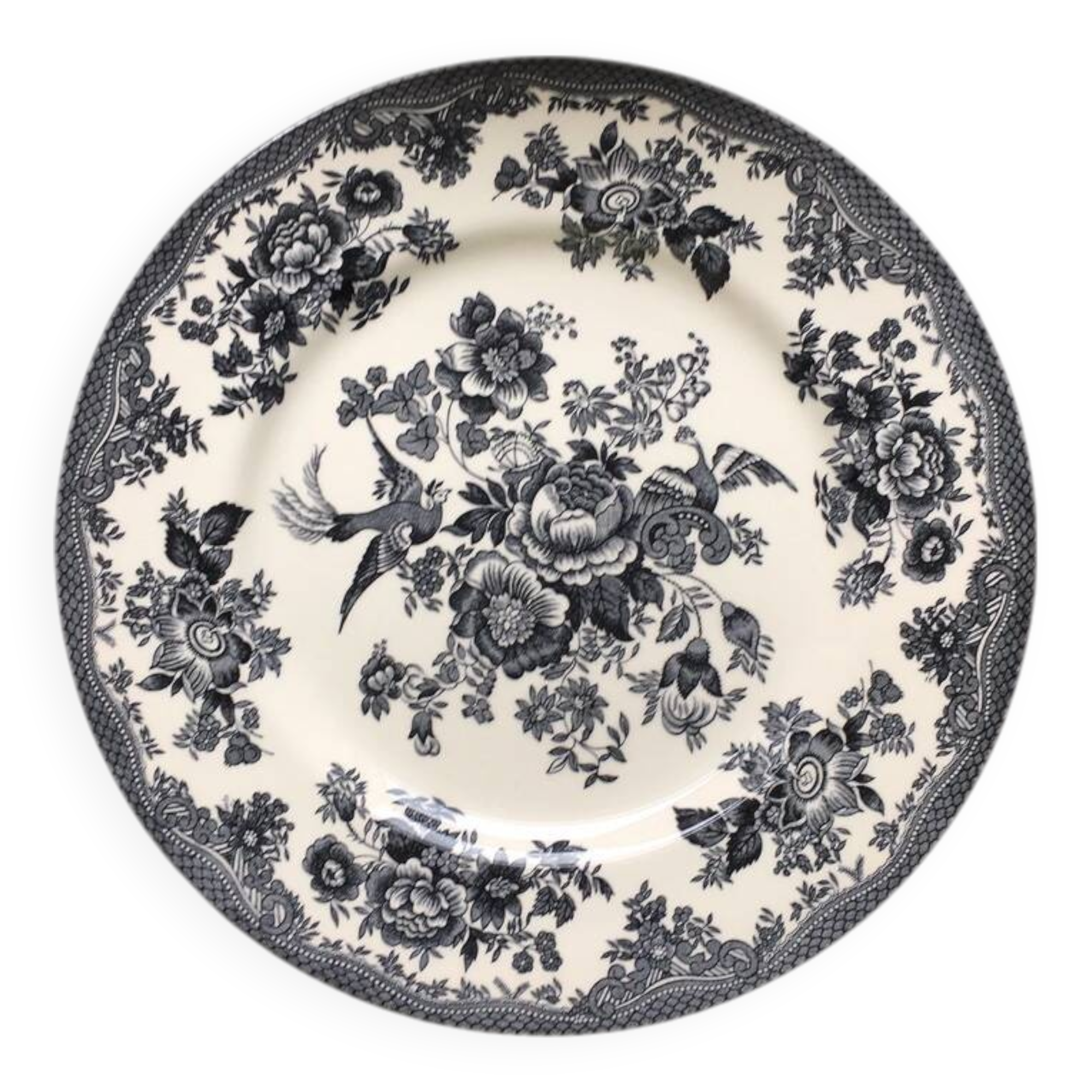 Royal Stafford Dinner Plate Asiatic Pheasant