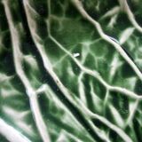 Majolica Cabbage Dish Leaf Green Ceramic Plate Portugal Vintage