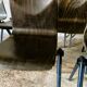 Chairs Model S30 From Galvanitas