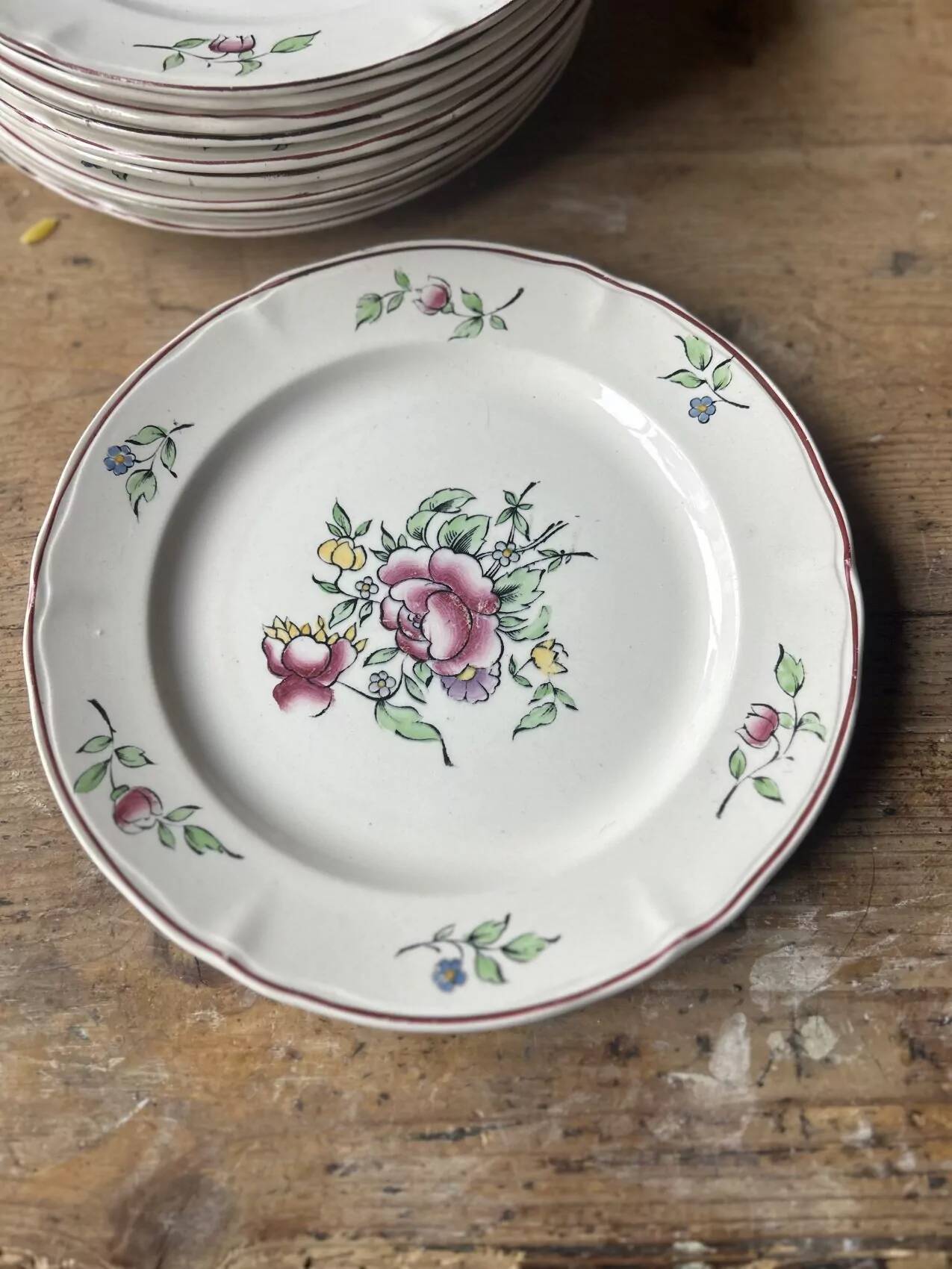 Set of 10 flat plates Villeroy & Boch – bucolic design – 24.5 cm