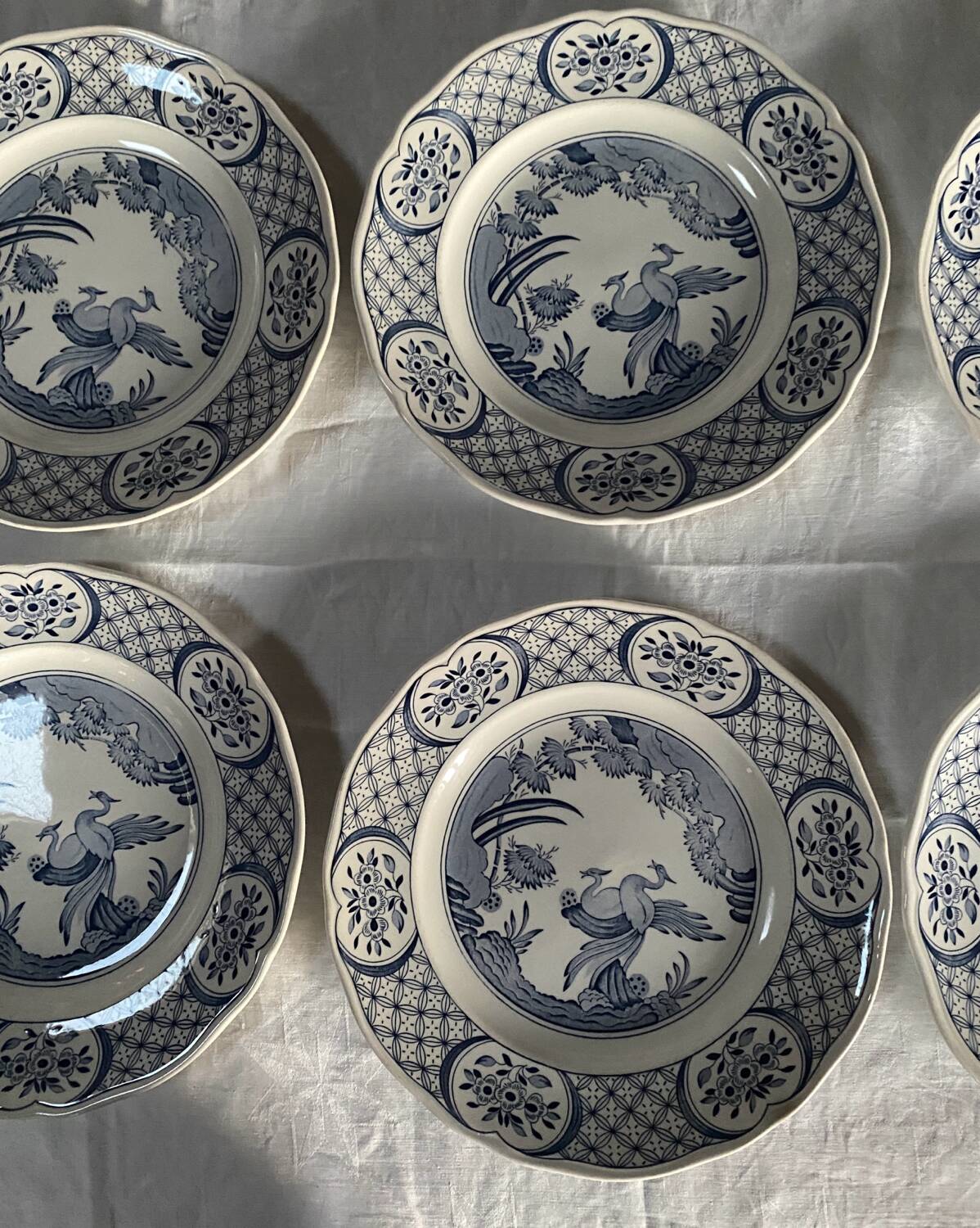 6 large Old Chelsea Furnivals dinner plates