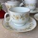 Richard Ginori Italy fine porcelain tea cups