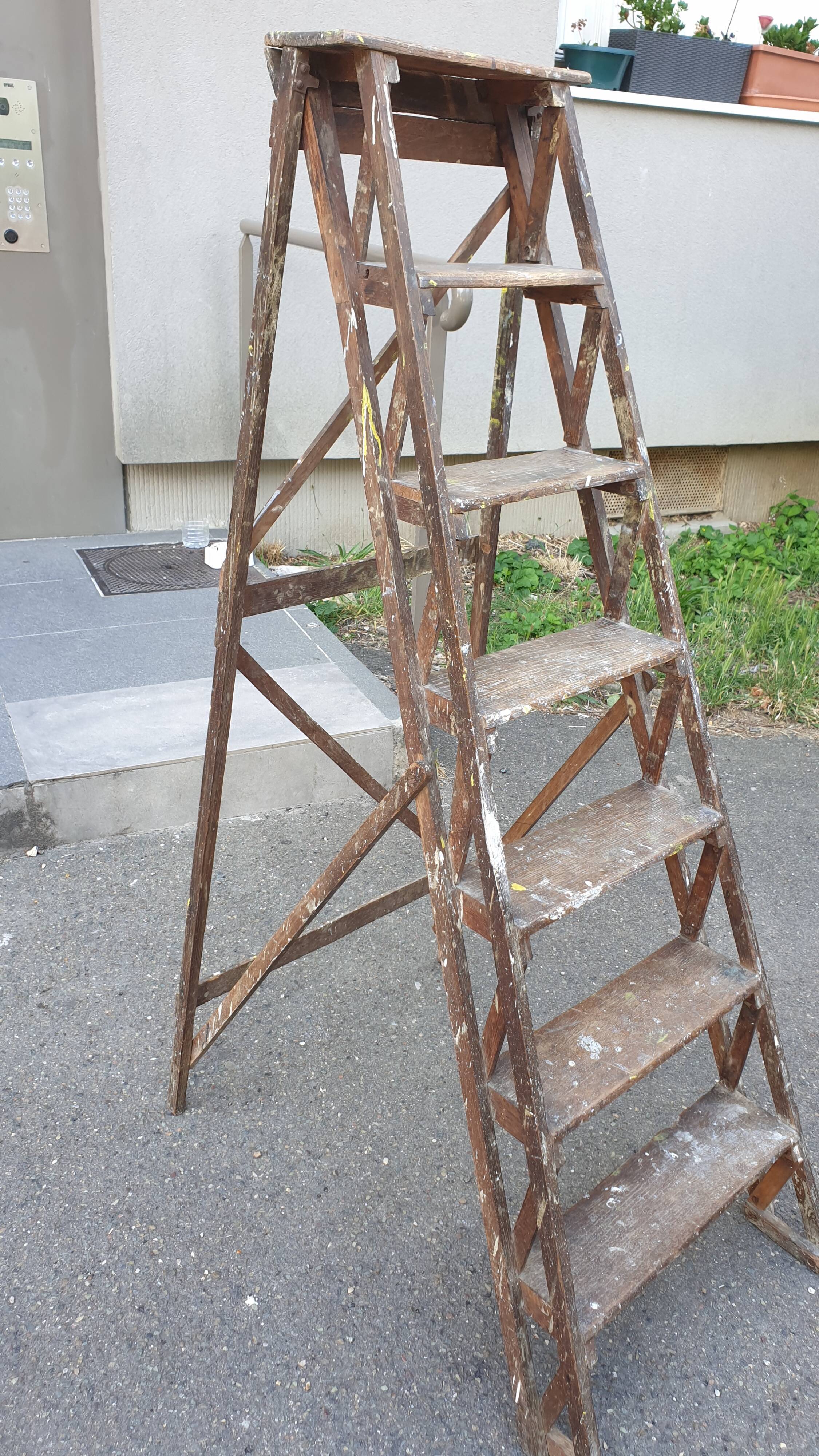 Painter's stepladder in solid beech