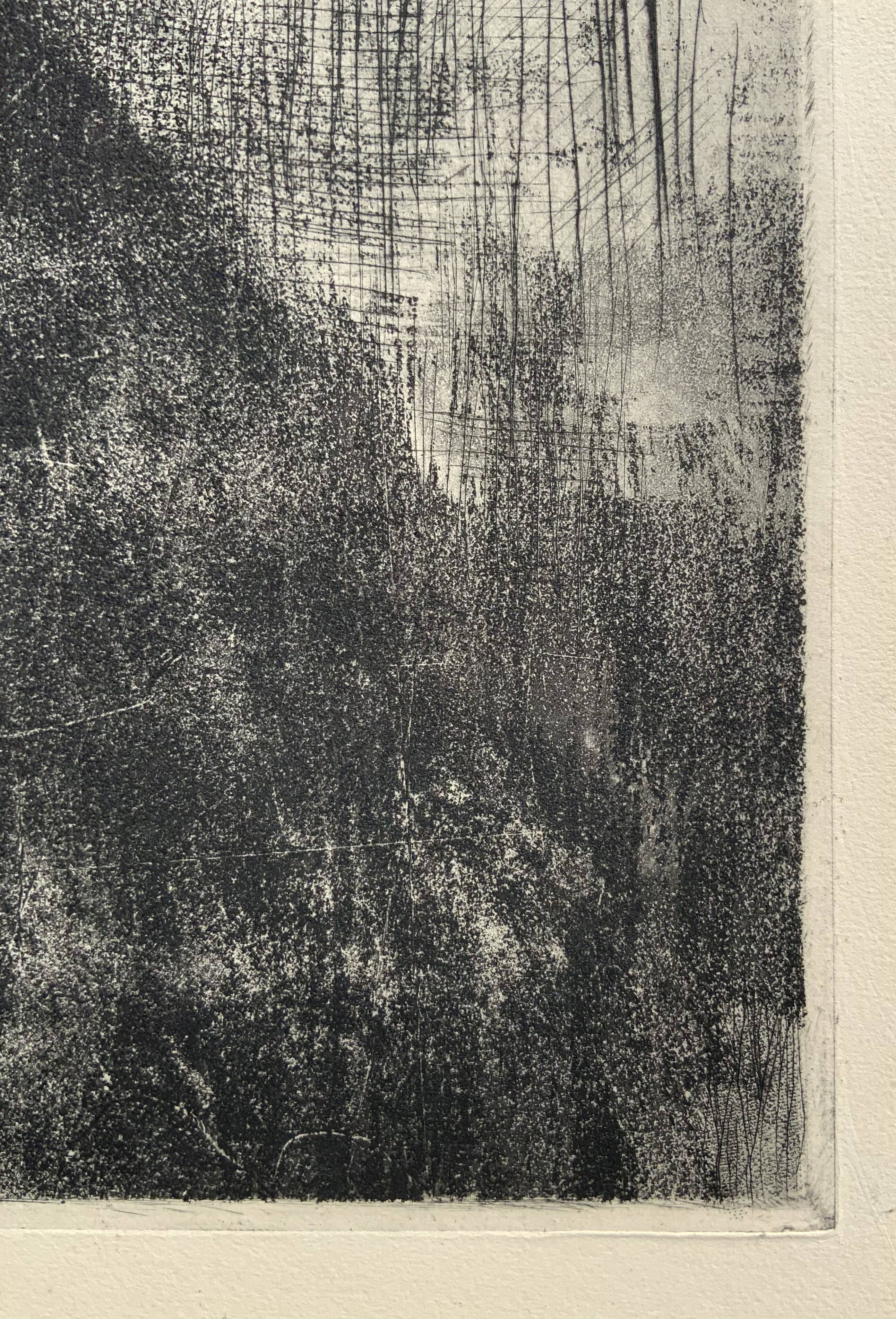 Antique Gentleman Portrait Copper etching By E.Zoir