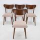 Ensemble de quatre chaises de salle à manger en hêtre restaurées des années 1950, Tchécoslovaquie