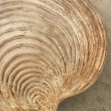 Large shell dish
