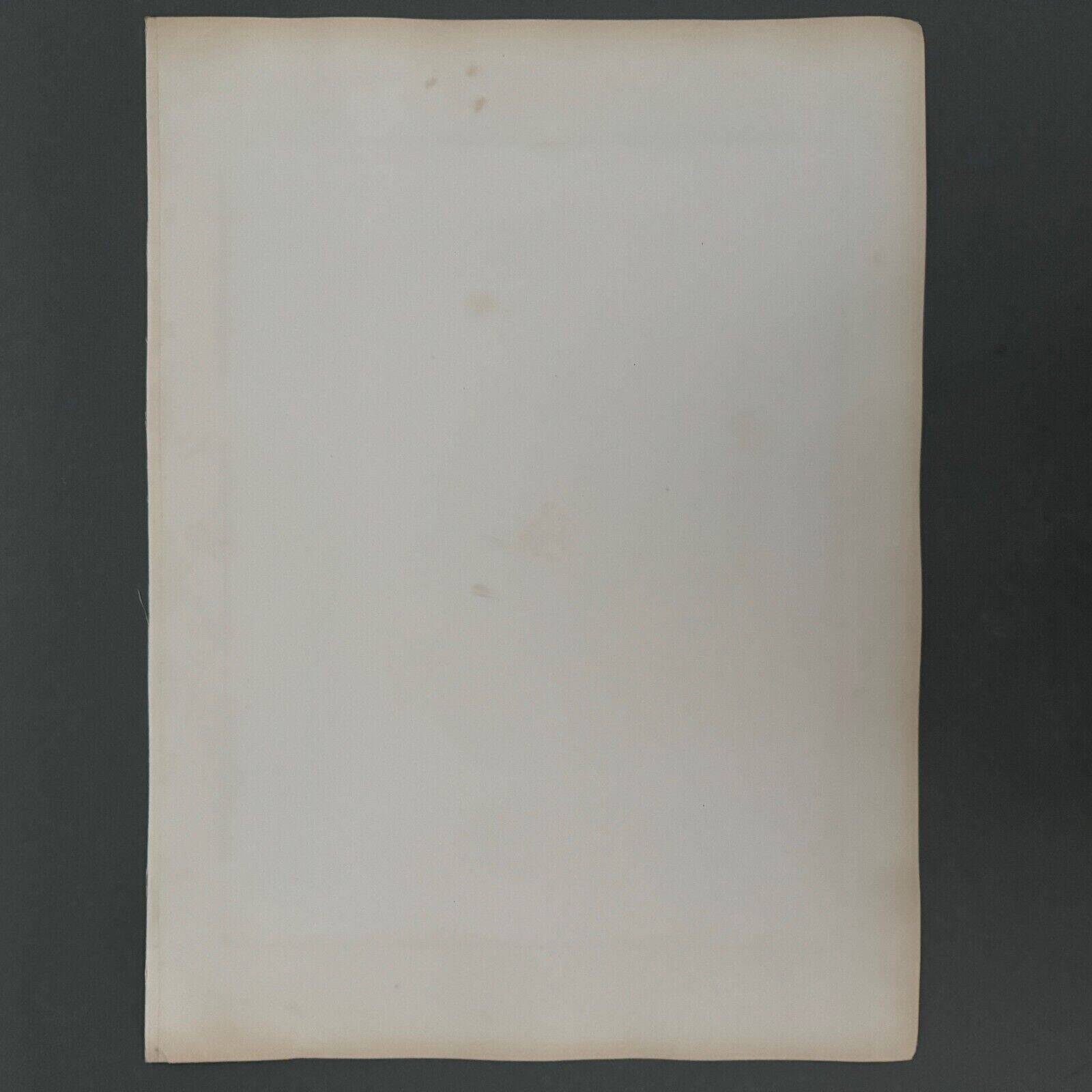 Albumen photo Venice Doge's Palace throne room 19th century