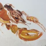 The lobster signed Jean Le Guennec 1924/1988