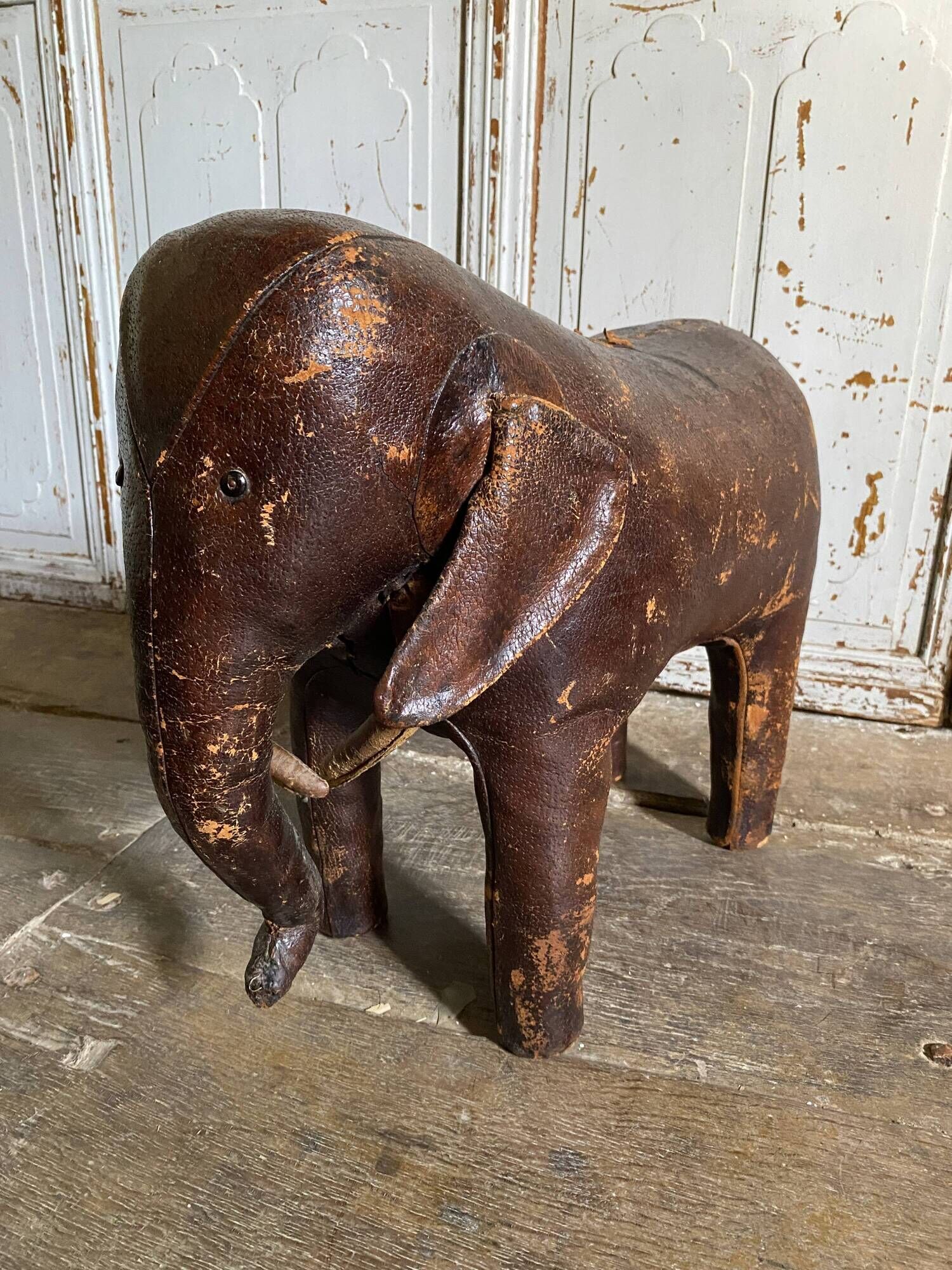 Elephant Dimitri Omersa