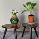 Pair of mini-seeded tripods 50s plant holder
