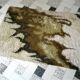 Scandinavian Modern rug with abstract decor by Ege Rya, Denmark 1960s