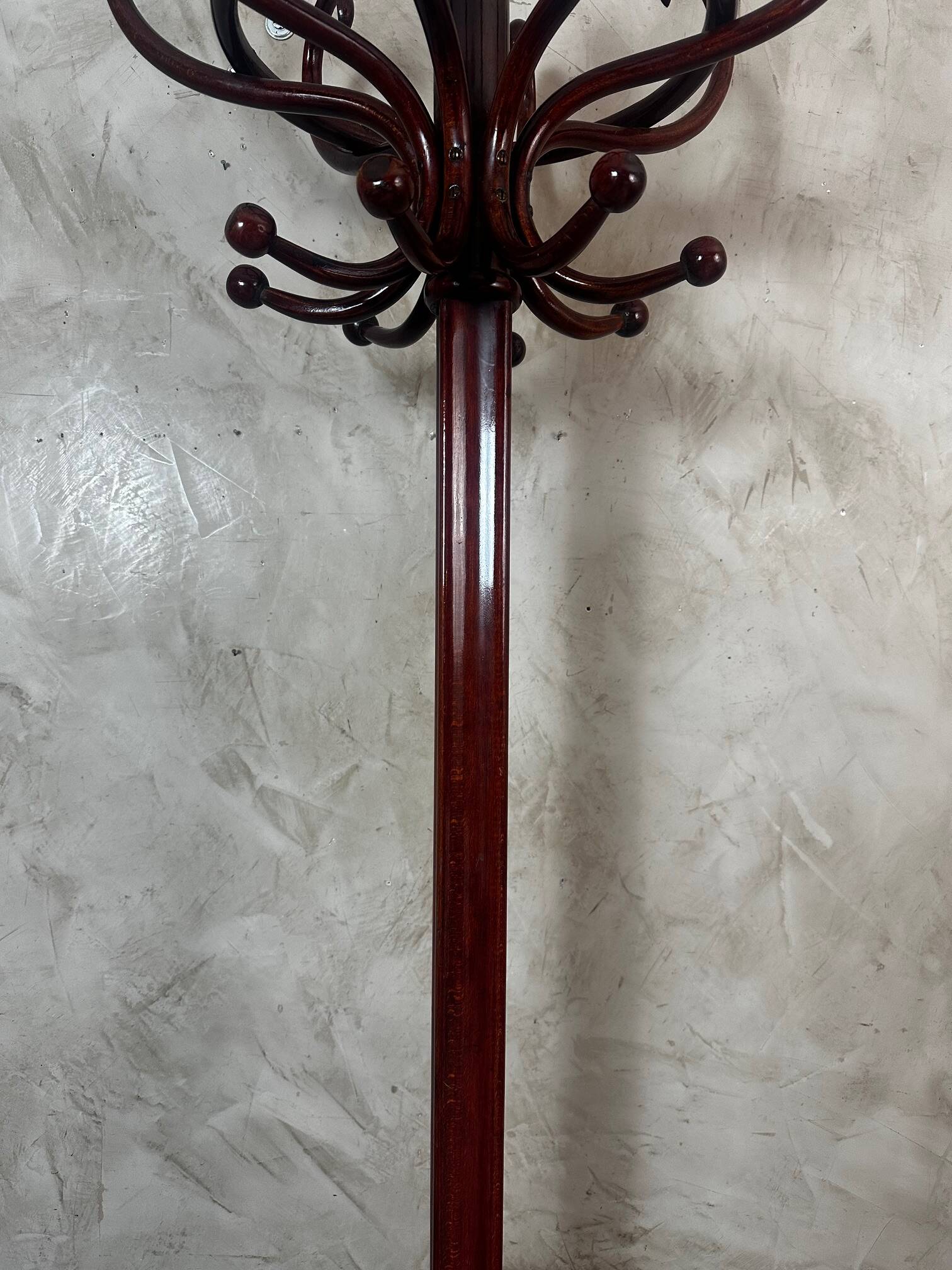 Parrot in the Thonet style