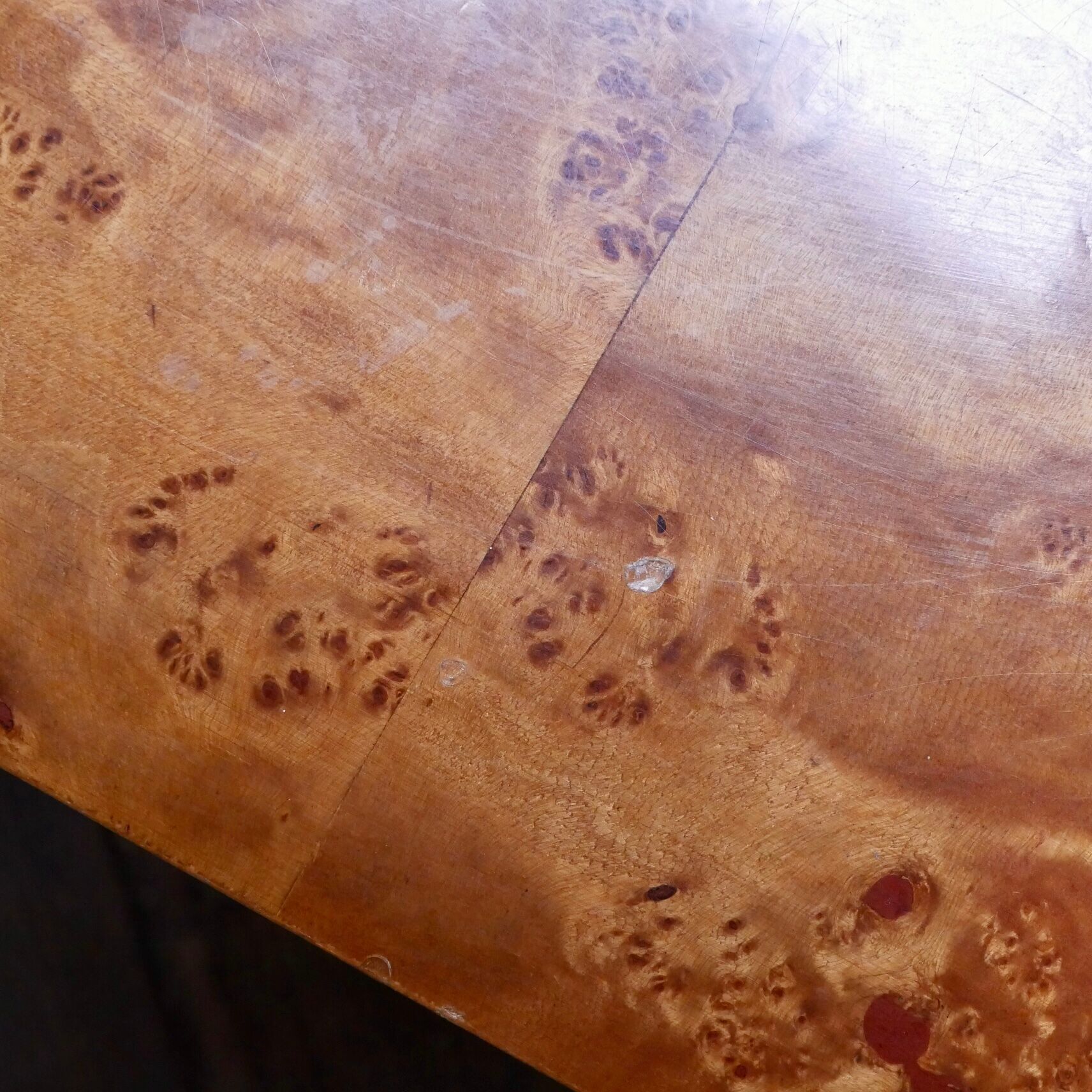 Table basse en loupe d’orme Roche Bobois