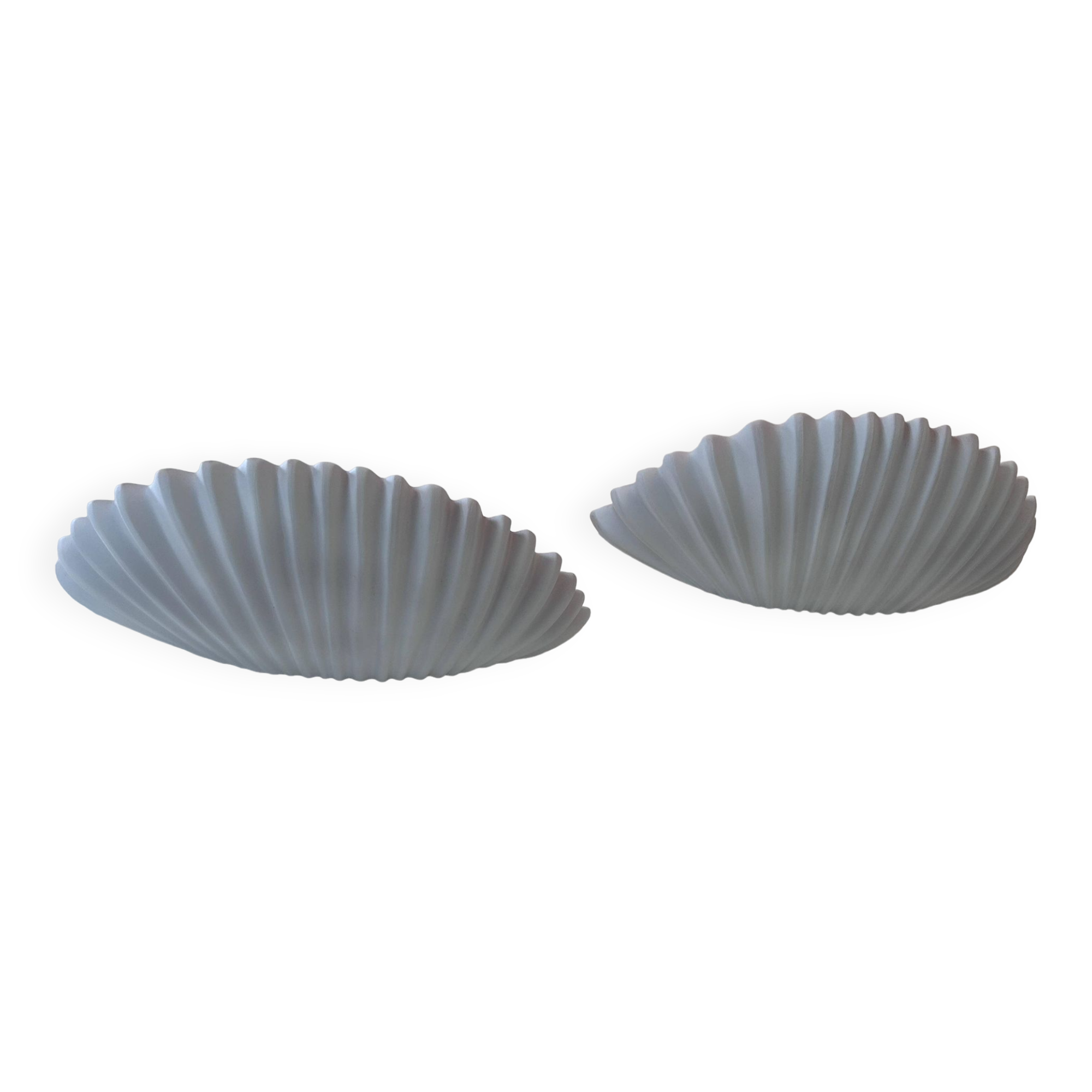 Pair of vintage shell wall lights, matte white, France 1970
