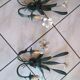 Paire d'appliques vintage style Florentin