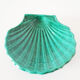 Green ceramic shell cup